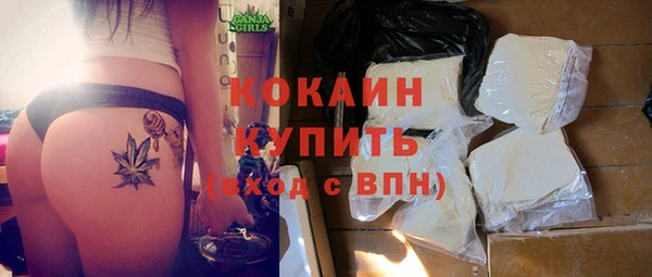 МДПВ Новозыбков