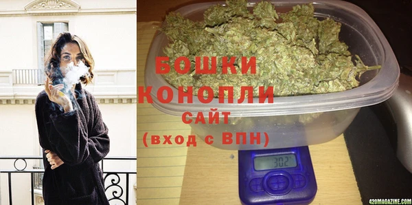 МДПВ Новозыбков