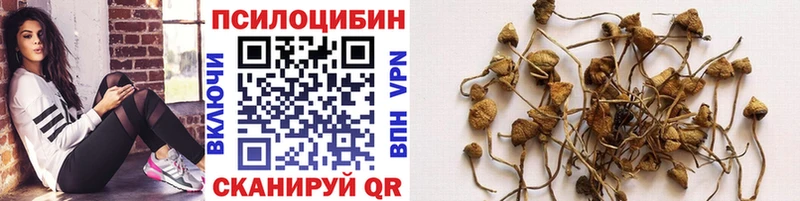 Галлюциногенные грибы прущие грибы  нарко площадка Telegram  Пыталово 